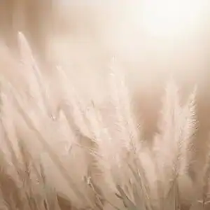 Metody Leczenia i Terapii